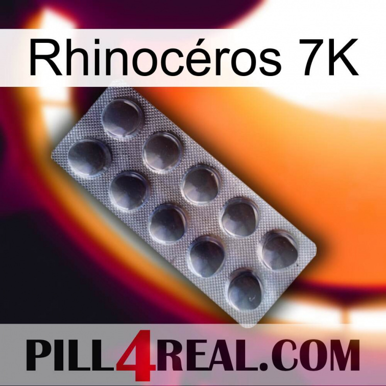 Rhinocéros 7K 30